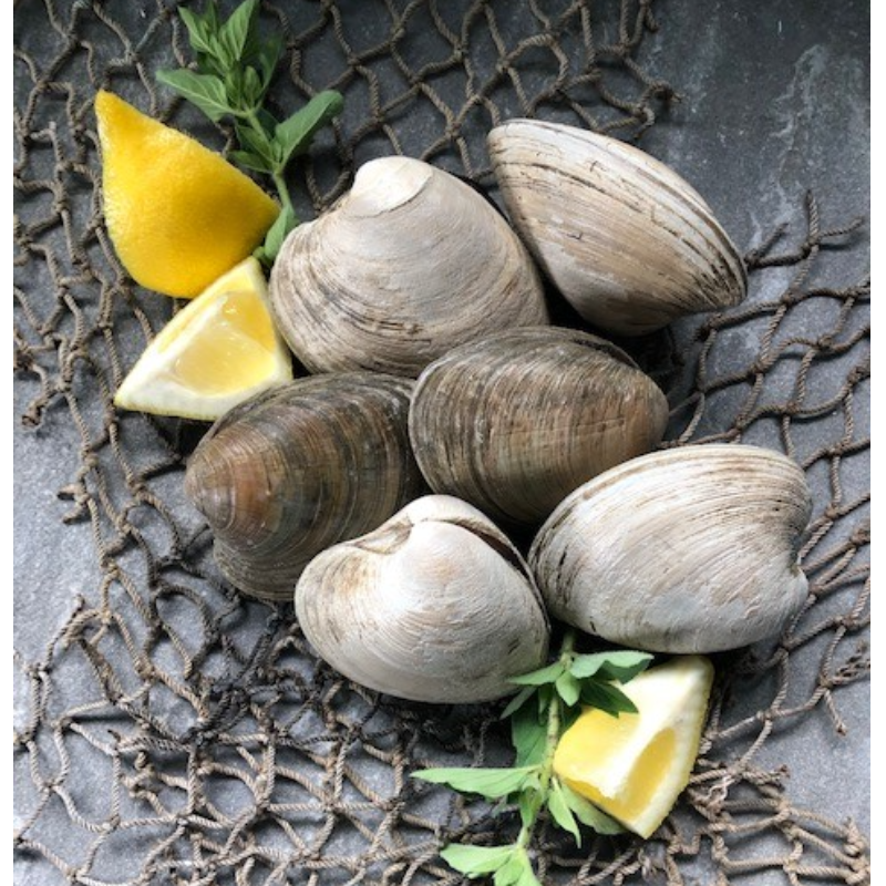 Topneck Clams WHOLE Main Image